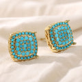 Distinguished Turquoise Earrings